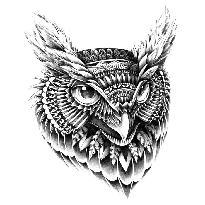 Owl Portrait