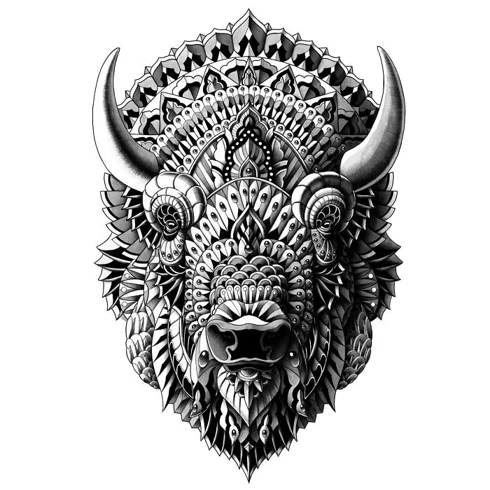 Bison