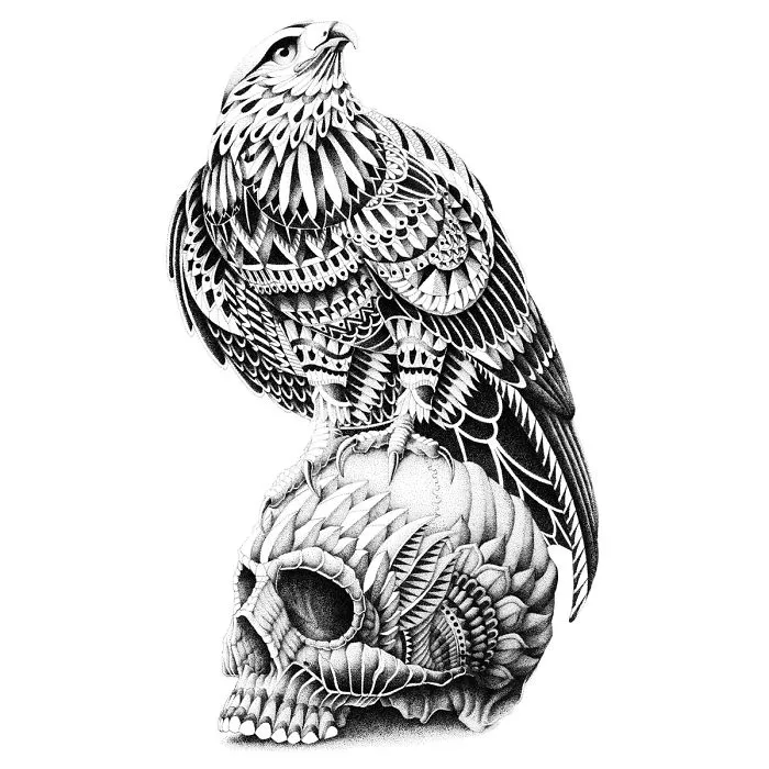 Redtail Skull