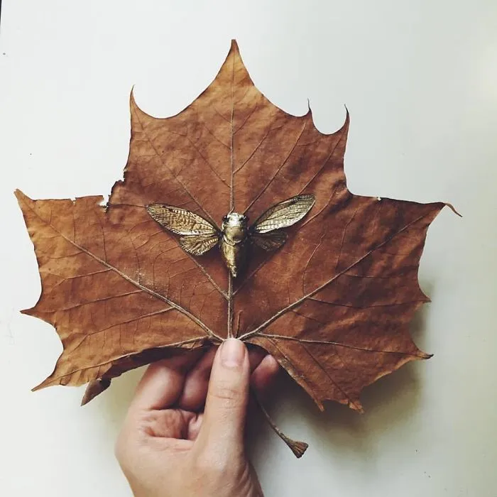 I Paint On Fallen Autumn Leaves