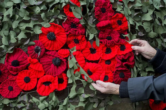 They Knit 40,000 Poppies With 450 Miles Of Yarn For Remembrance Day