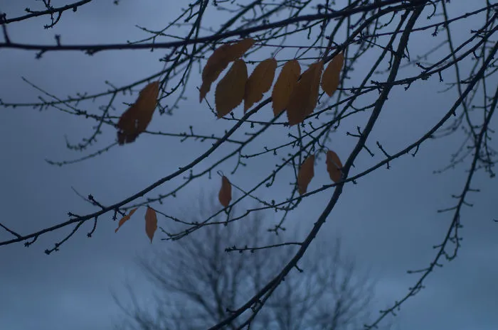 I Have Seen The Last Autumn Of My 30s