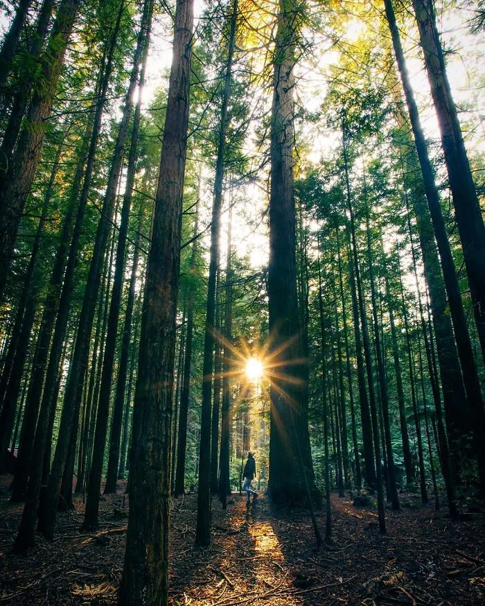 Stay Close To Nature, It Will Never Fail You