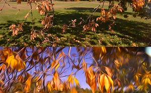 Photos Turned Into Digital Paintings