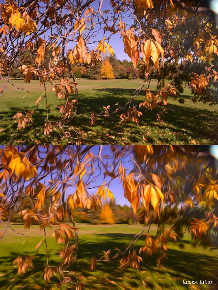 Photos Turned Into Digital Paintings