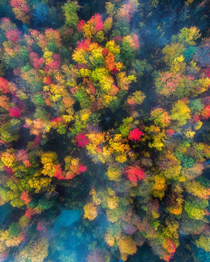 Vermont