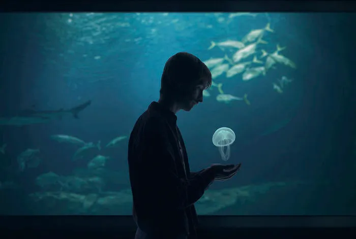 Discovering