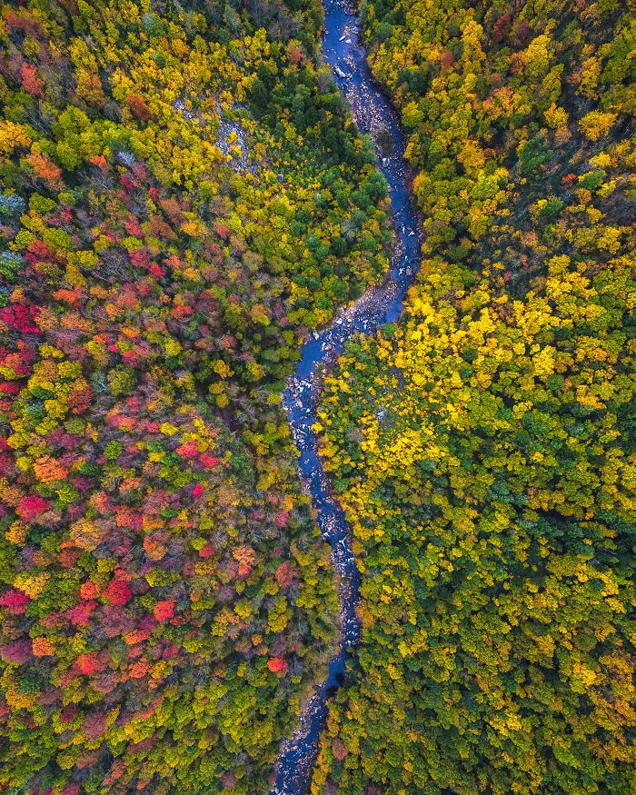 West Virginia