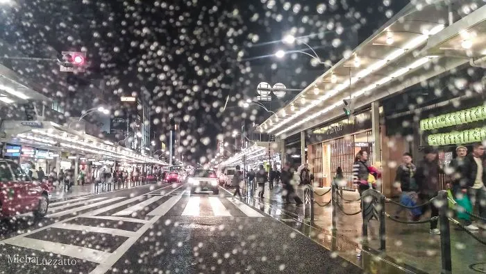 I Took This On A Taxi Ride In Kyoto, Using My Smart Phone Camera!