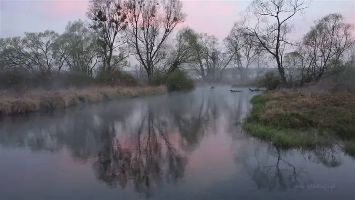 Into The Fog With Drone