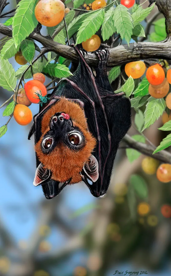 Cute Portraits Of Unexpected Animal Buddies By Blair Sampson