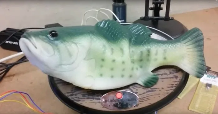 Some Genius Hacked Amazon’s Alexa And Turned It Into Big Mouth Billy Bass