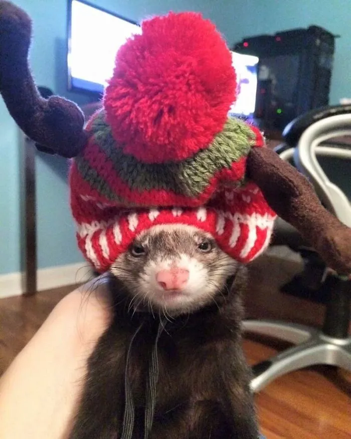 Not So Into The Holiday Spirit