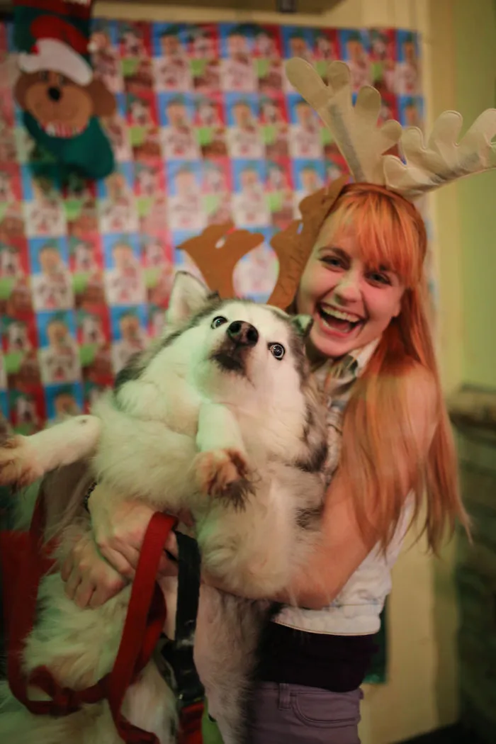 I Tried To Take A Cute Christmas Photo Holding My Dog...