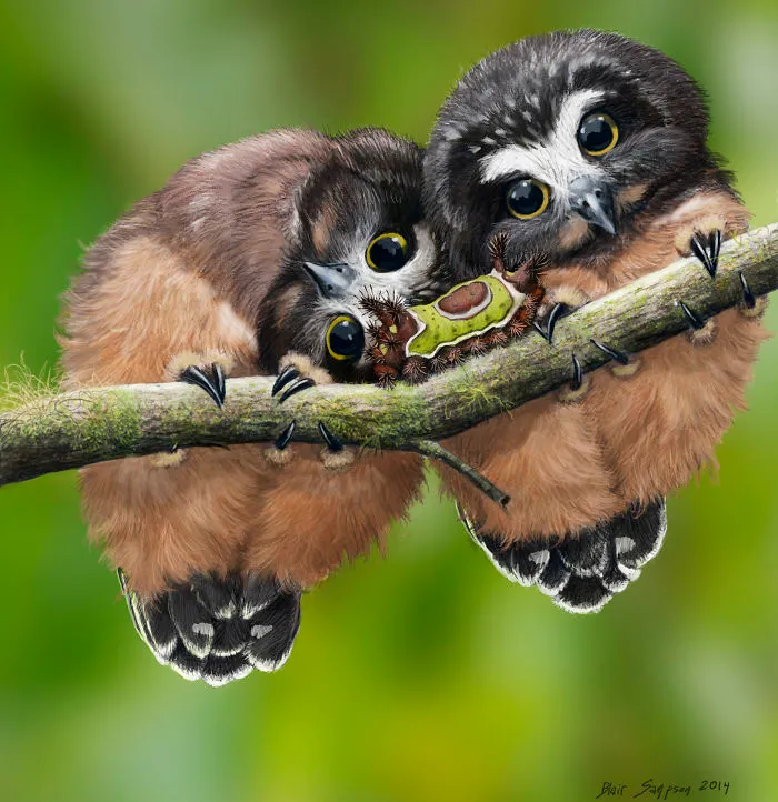 Cute Portraits Of Unexpected Animal Buddies By Blair Sampson