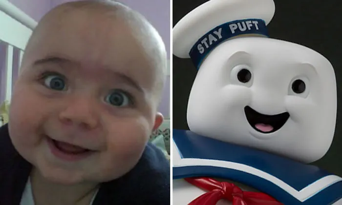 Sammy Looks Like A Stay Puft Marsmallow Man From Ghostbusters