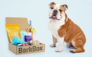 Best Pet Gifts This Christmas
