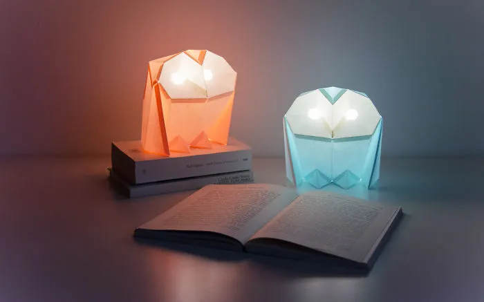 We Fed Our Barn Owl And Now He’s Grown Into A Paperlamp!