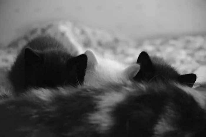 Nap Time
