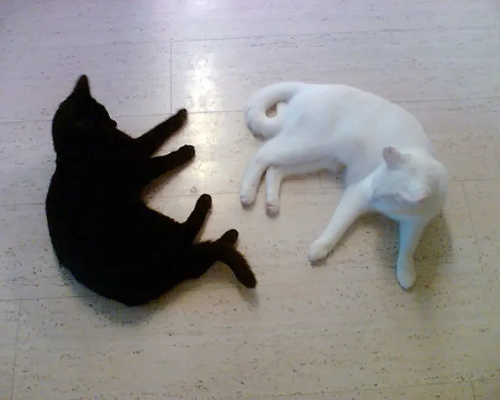 Black And White
