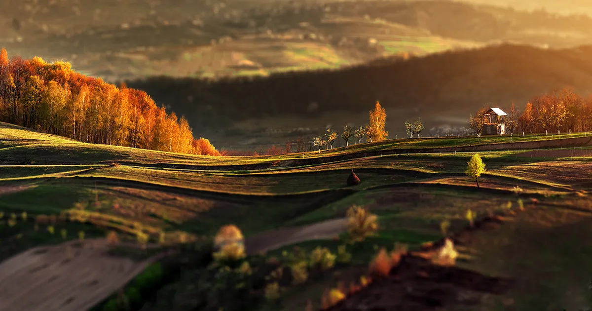 He fotografiado un otoño de ensueño en Rumanía con una cámara de 250$