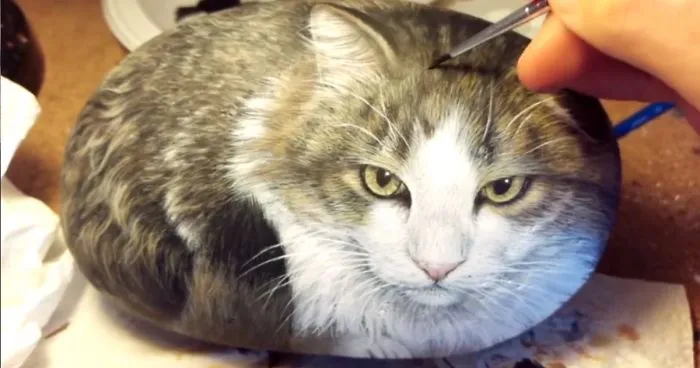 This Cat Is Actually A Rock