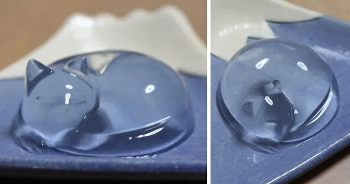 Japanese Cat Water Cake Is Taking Over Twitter In Japan