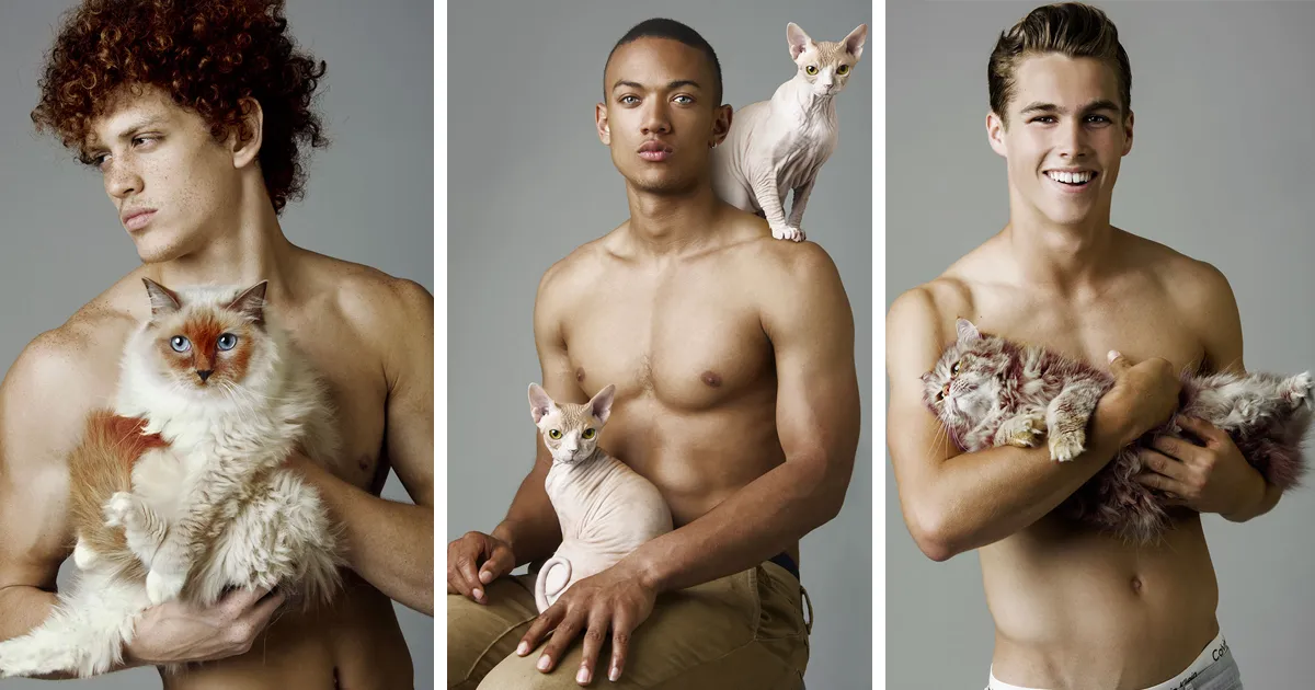Estos modelos descamisados posando con gatos son la perfección absoluta