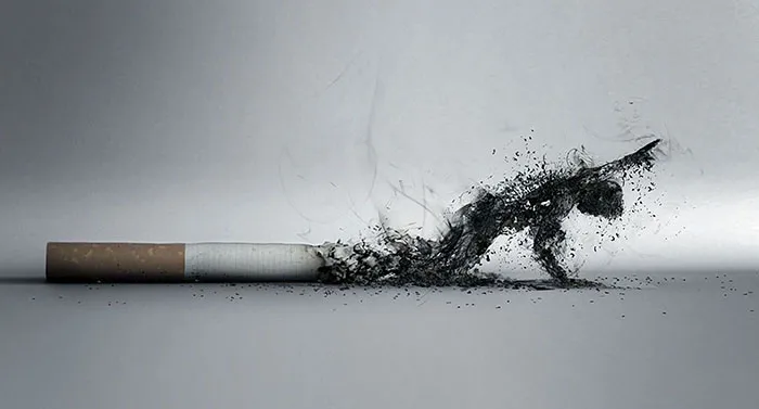 The Smoke