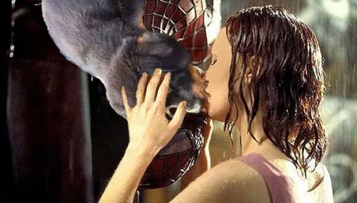 Spidey Just Doesn't Compare