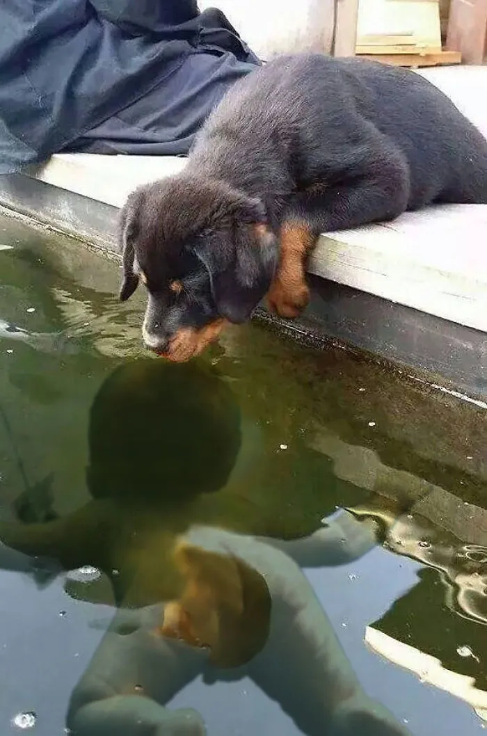 Nevermind