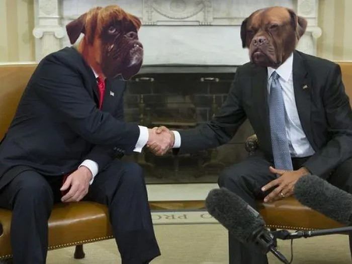 Spirit Animals