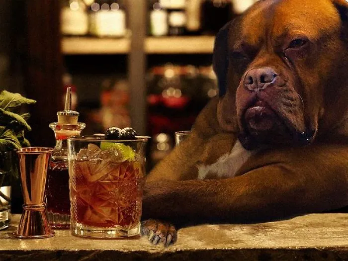 Drinking Alone