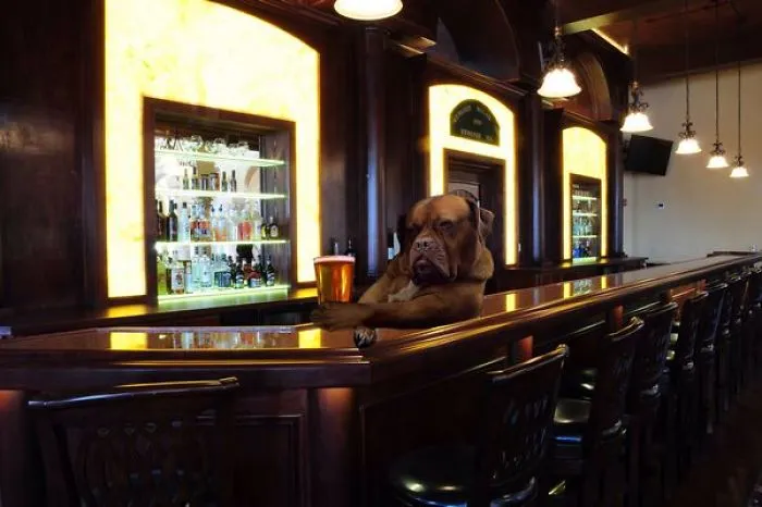 Ruff Day
