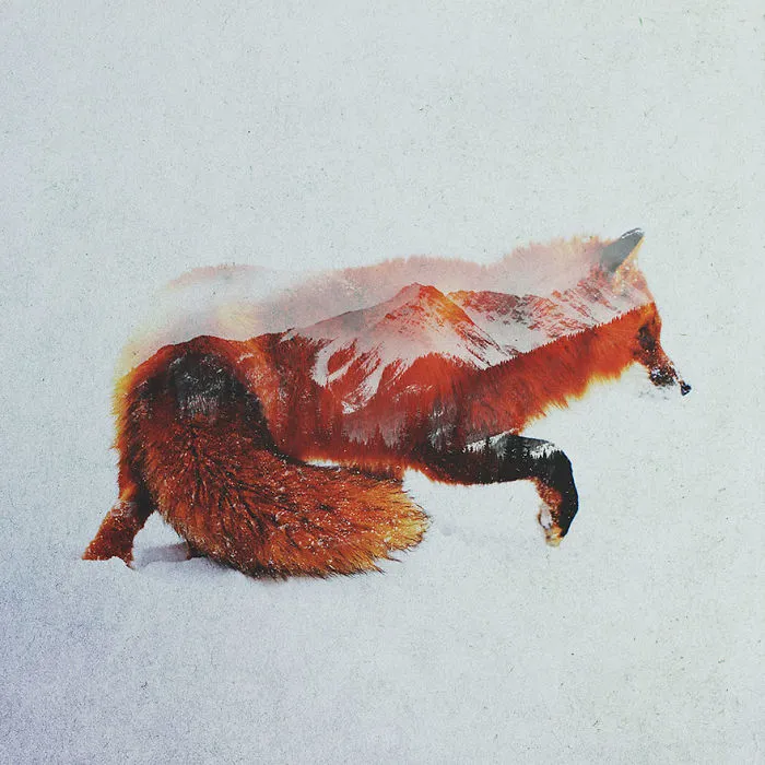 I Combine Animals And Landscapes In My Double Exposure Artwork
