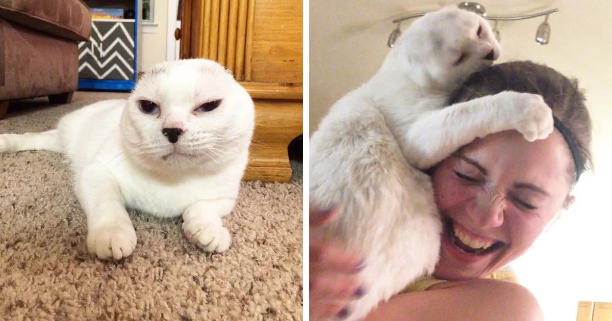 Esta mujer adoptó a un gato anciano y sordo, y este la salva de su ansiedad