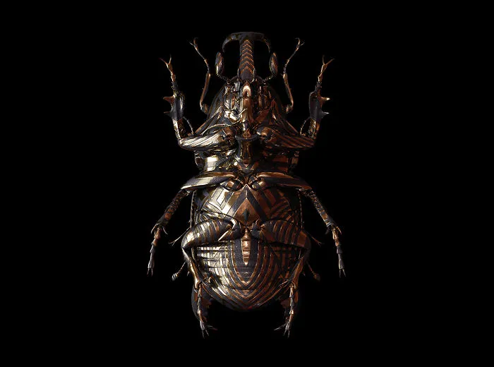 Engraved Entomology: My Project Inspired By Morbid Subjects