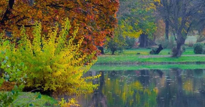 Autumn In The City Park In Macedonia
