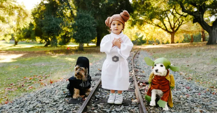 How A Photoshoot With A Toddler And Two Dogs Looks Like...