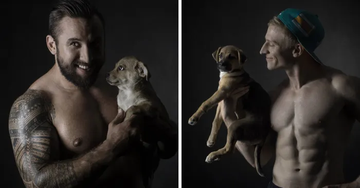 We Created This Calendar To Help Homeless Animals