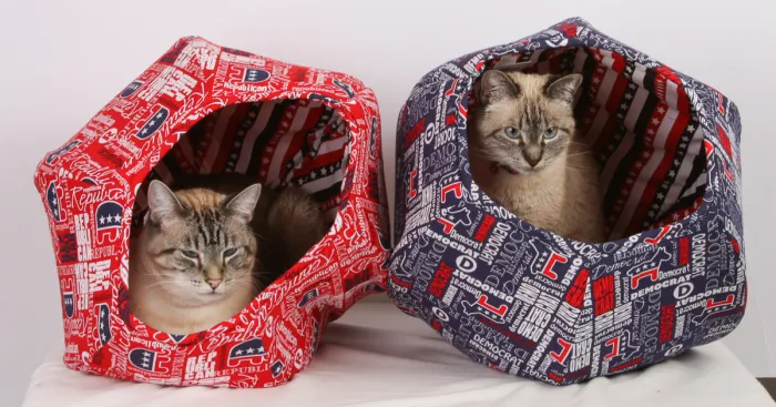 I Made A Feline Voting Booth Contraption
