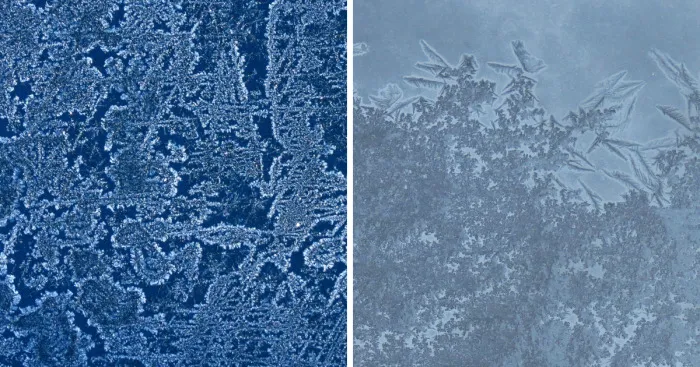 Before Scraping The Frost Off My Car On These Chilly Mornings, I Like To Stop And Appreciate Jack Frost's Delicate Artistry