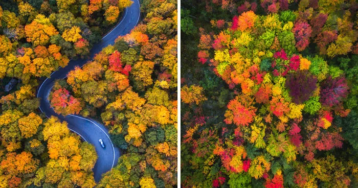 We Drove Through Every State In Northeast US To Photograph The Beauty Of Fall