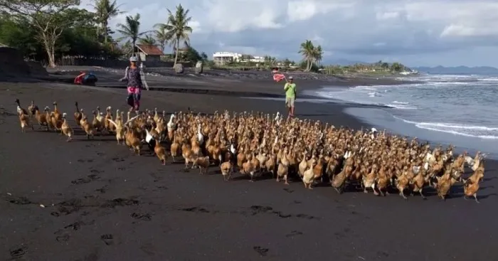 When You Simply Chill At One Of The Non-Touristic Beaches In Bali