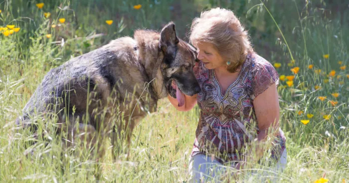 My Photo Project Has Shown Me The Joy Of Adopting Older Dogs