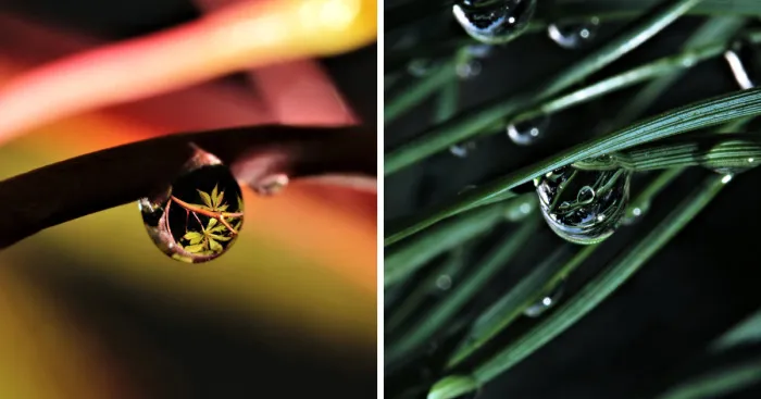 What I Found In Raindrops