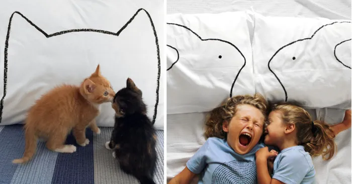 I Make Pillowcases From My Charcoal Drawings, For Pet Lovers