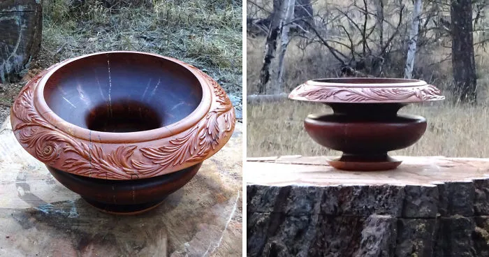 'Salvaged Wood' Returns To Where It Was Grown