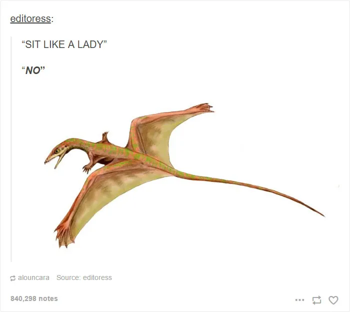 61 Funny Tumblr Posts That Feminists Will Laugh At