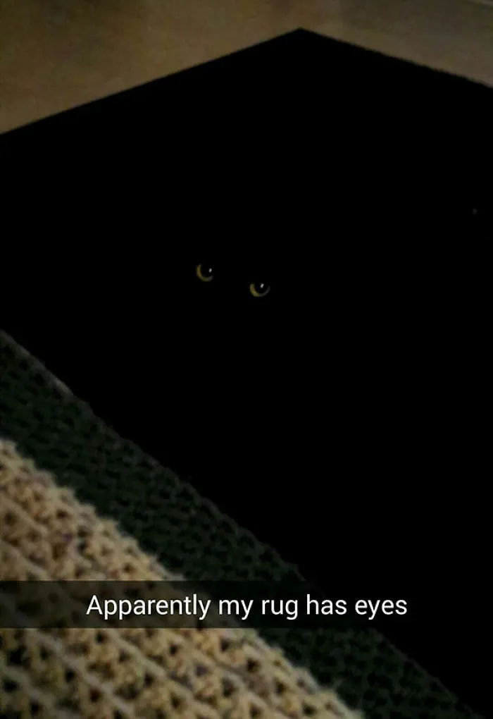 My Rug Has Eyes